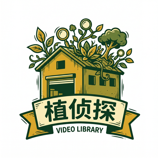 黄色仓库